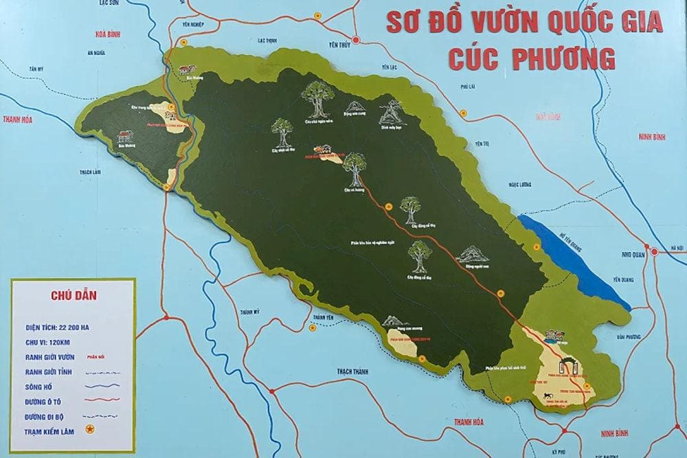 Vườn quốc gia Cúc Phương nằm trên địa phận 3 tỉnh gồm Ninh Bình, Hòa Bình và Thanh Hóa. (Nguồn: Internet)